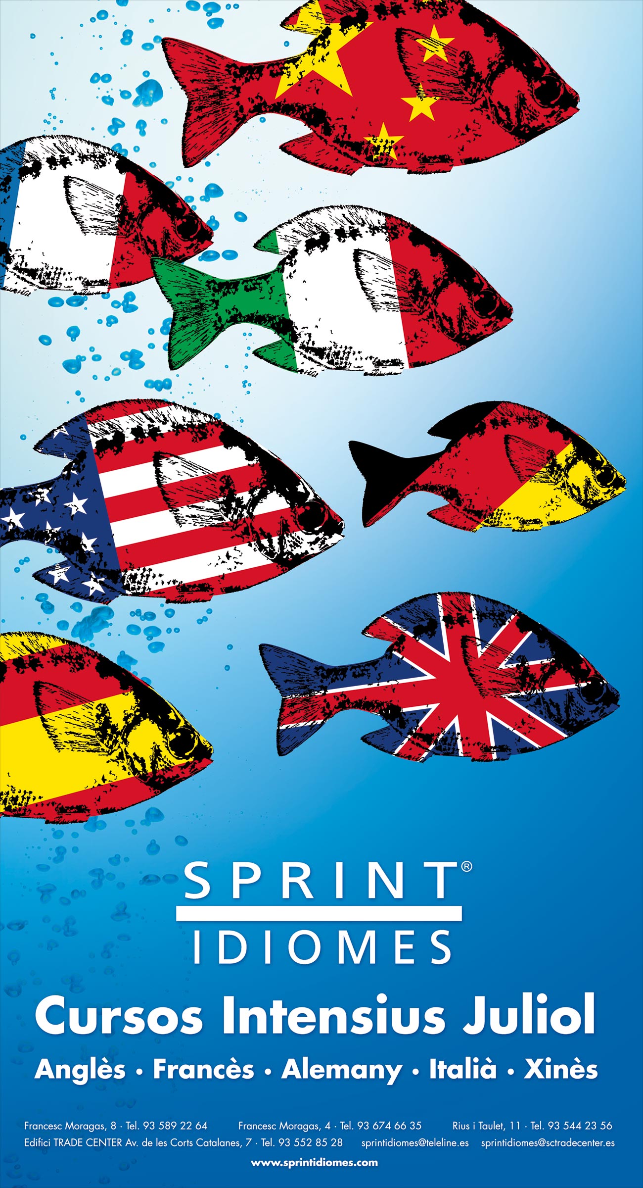 Cartell Sprint Cursos Juliol